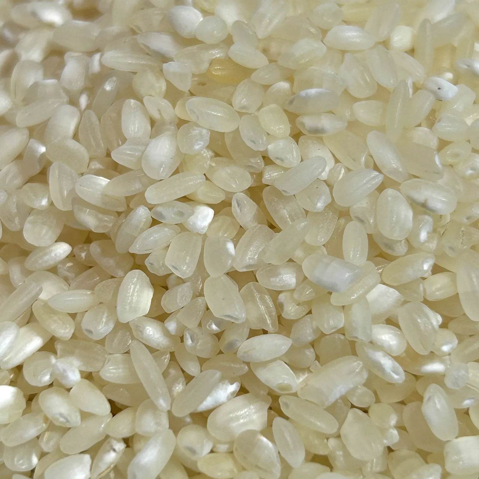 Yamaní Blanco 1kg