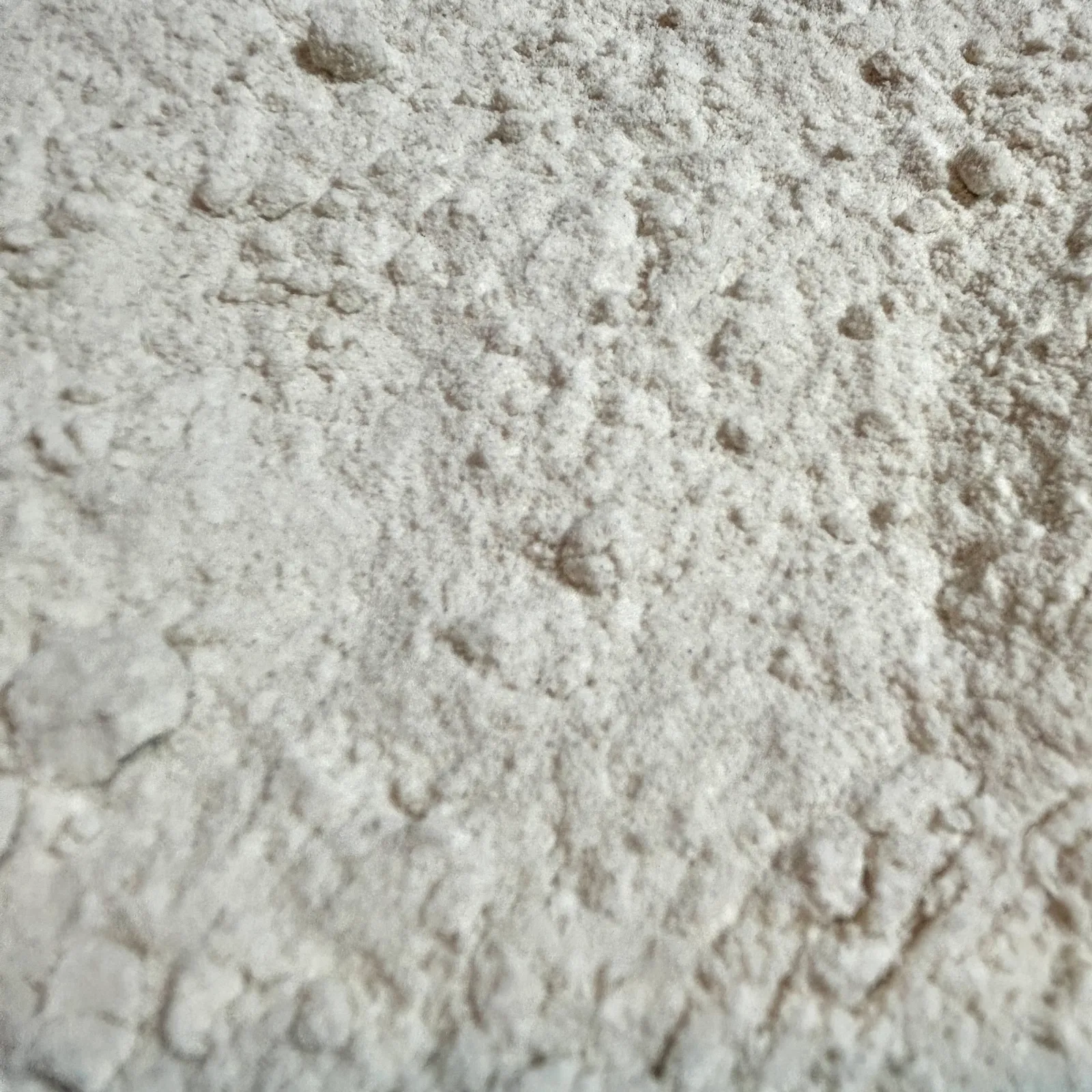 Harina de Arroz integral MONTE FLORE 250g