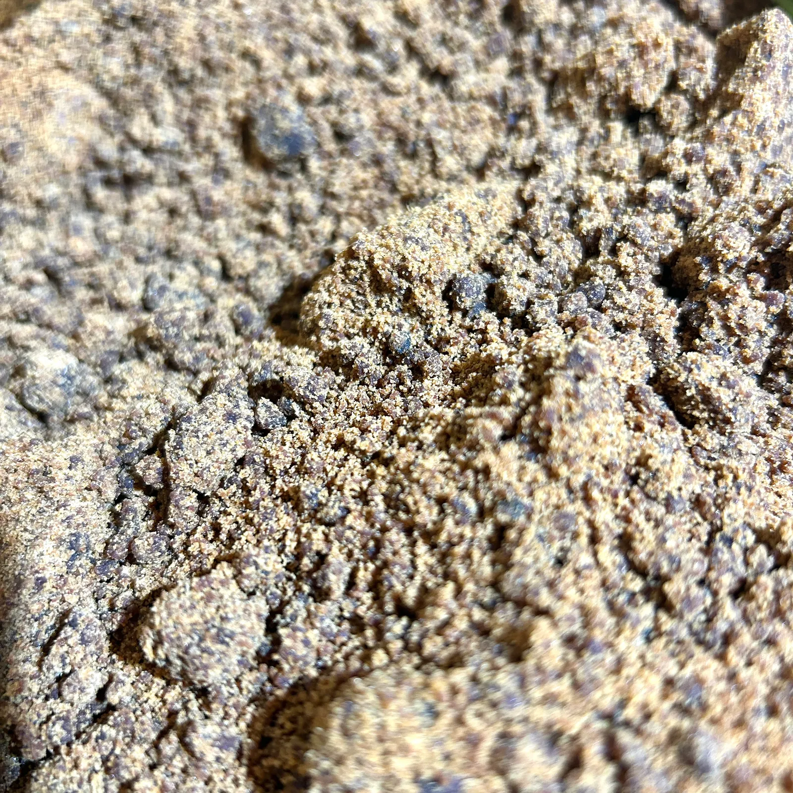 Azúcar Mascabo 1Kg