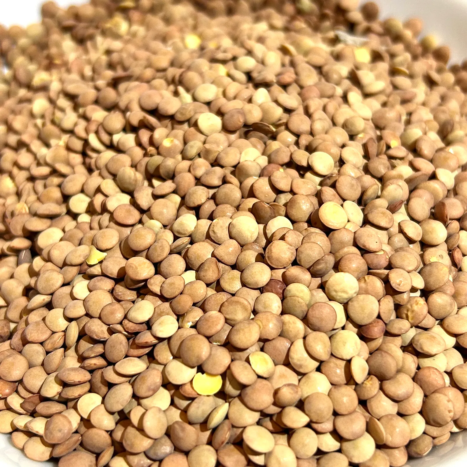 Lentejas MONTE FLORE 1Kg