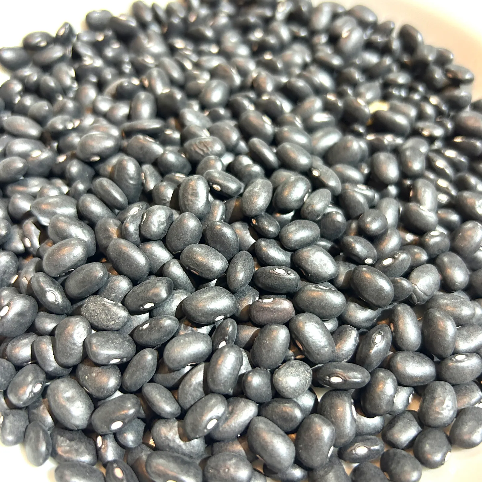 Porotos Negro SALVE LA TIERRA 500g