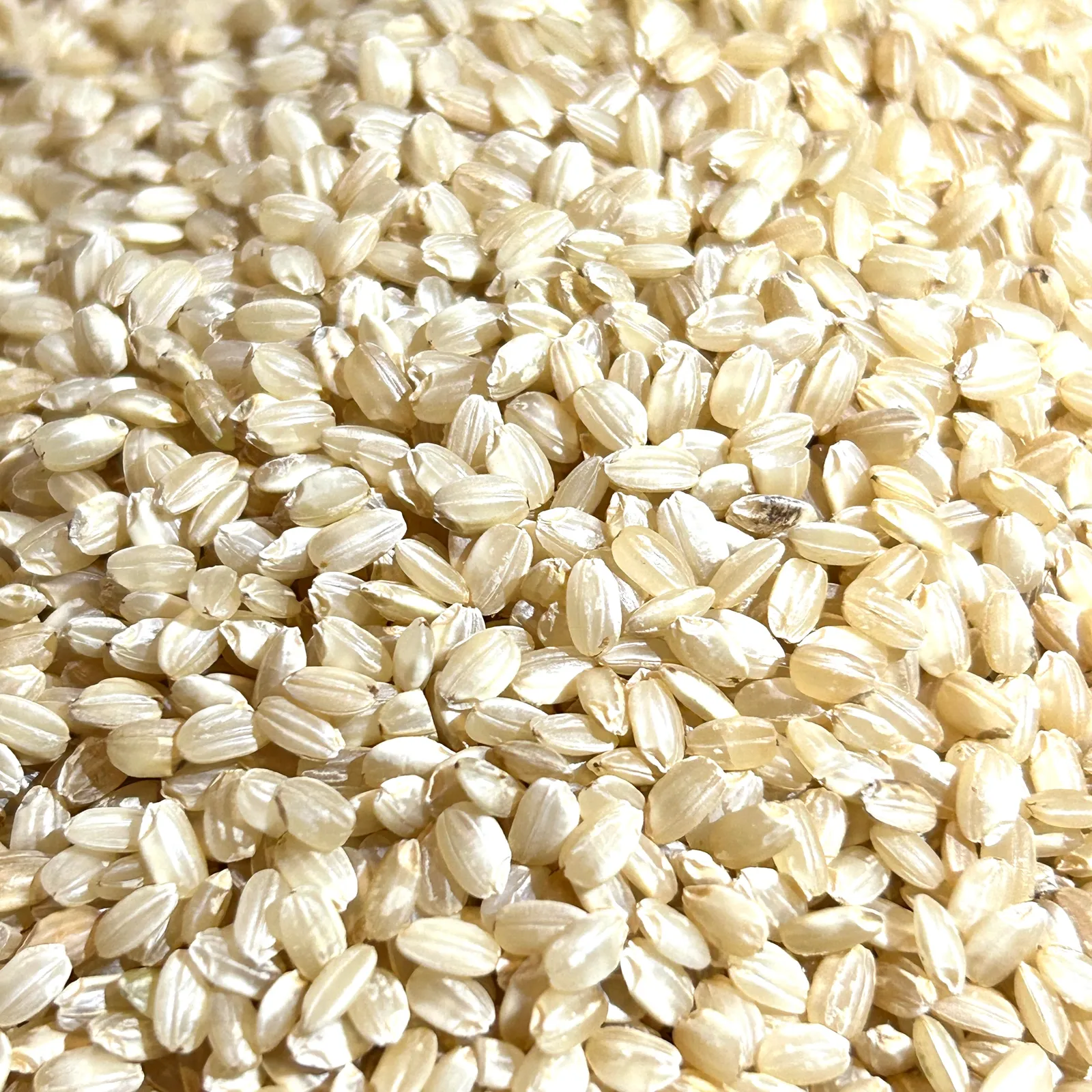 Yamaní Integral 1kg