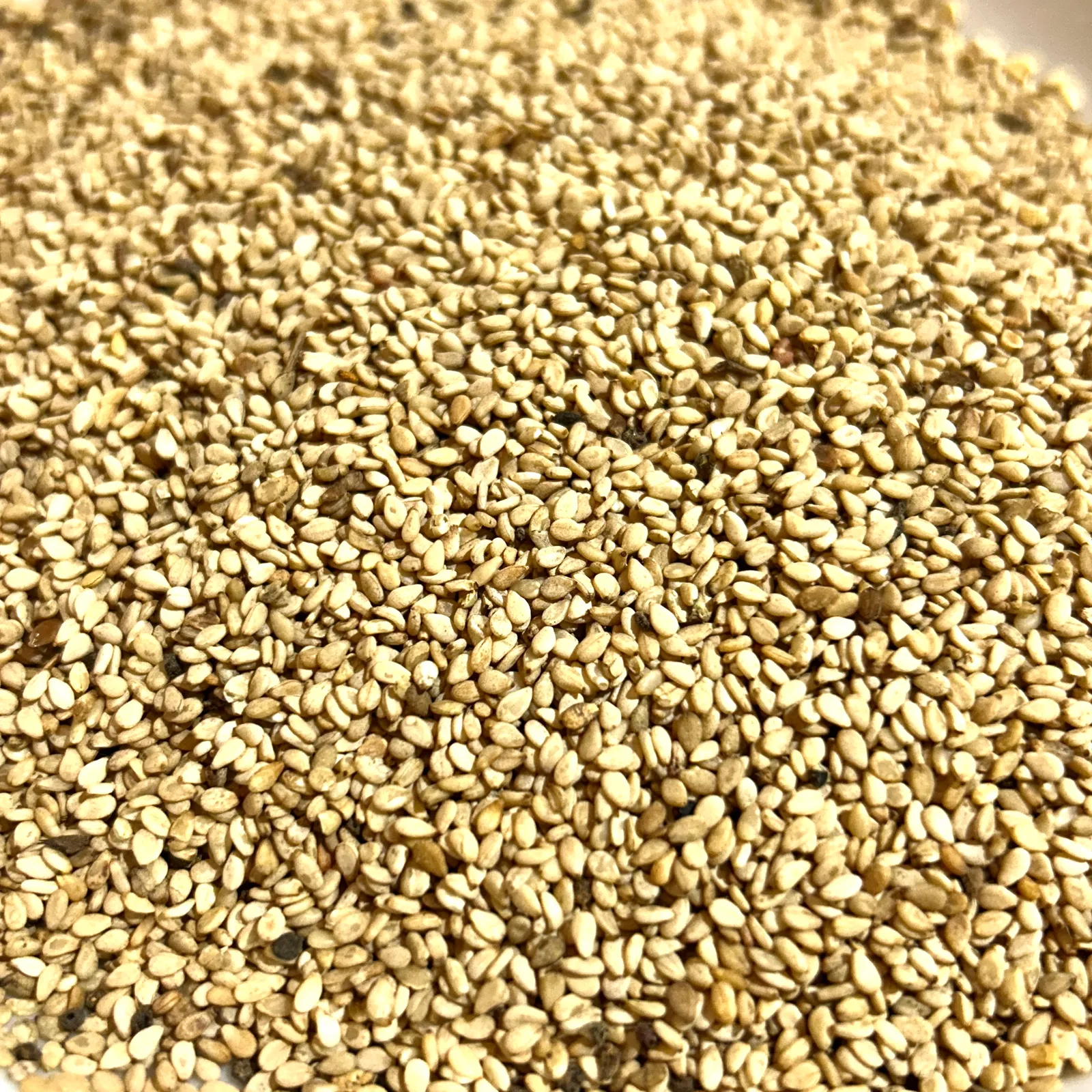 Sésamo 100g