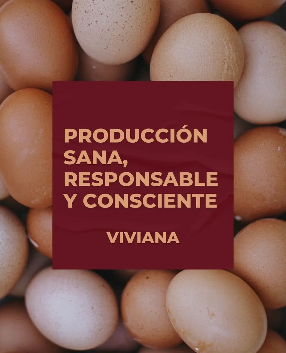Huevos de campo Viviana (media docena)