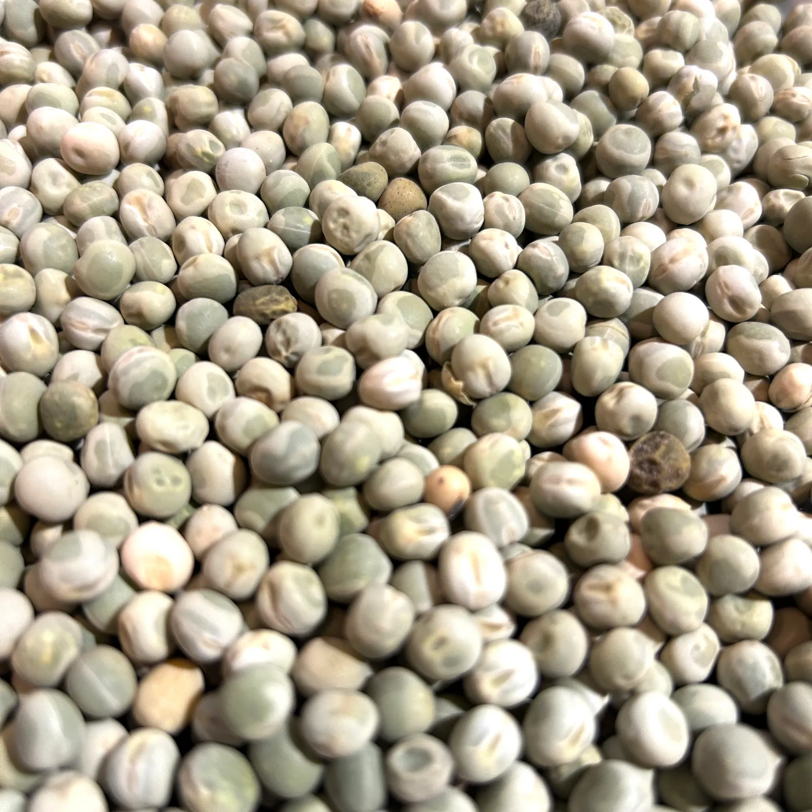 Arvejas enteras MONTEFLORE 500g