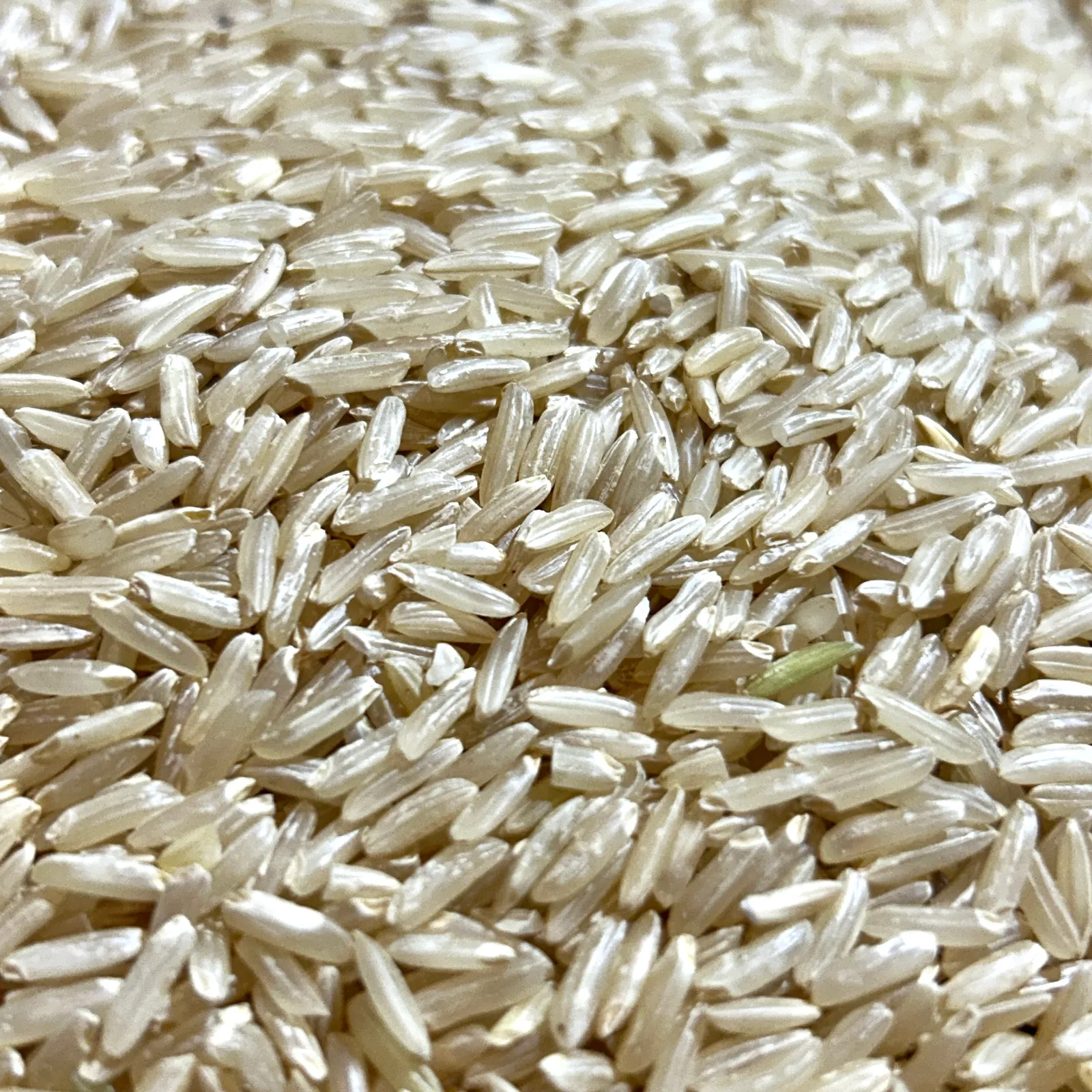 Largo Fino Integral 500g