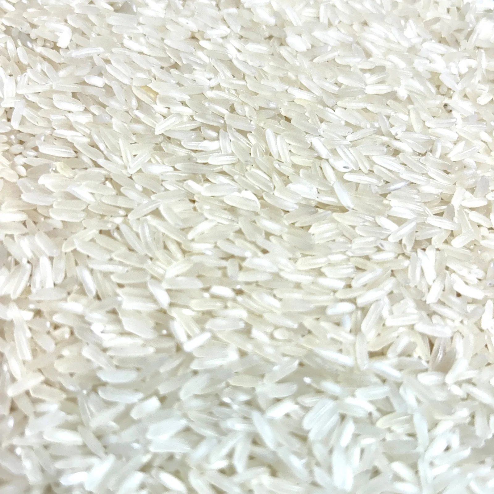 Largo Fino Blanco 500g